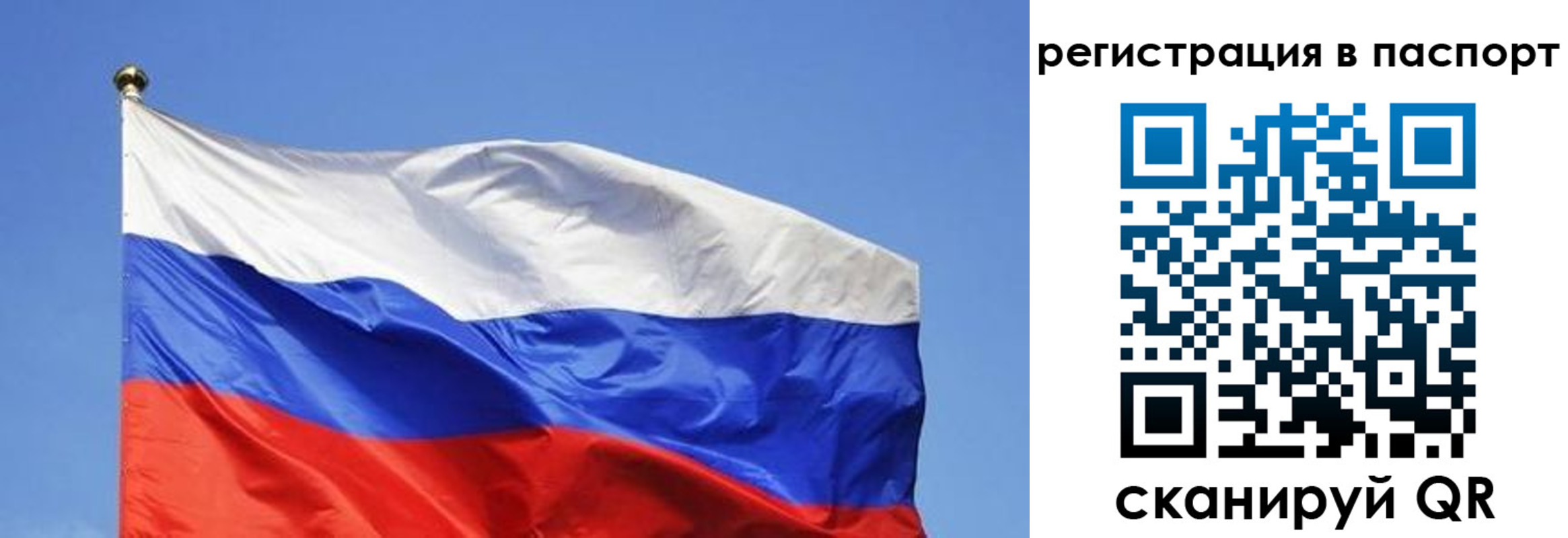 прописка в квартире в Новочебоксарске